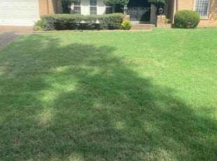 Lisa S.'s Yard Cutting service result