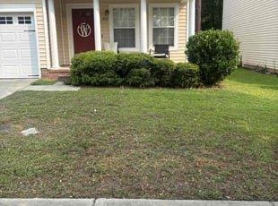 Bush Trimming by Michael Scipio for Dawn W. in Columbia, SC