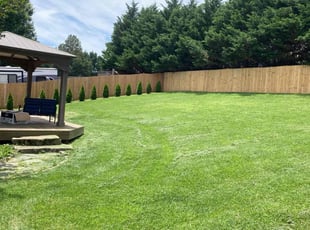 Ulrike P.'s Lawn Mowing service result