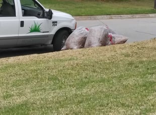 Cleanups by Norma Terry for Teresa R. in Arlington, TX