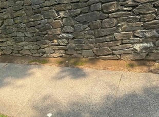 Weeding by Luiz Gosling De Oliveira for Raymond H. in Rockville, MD