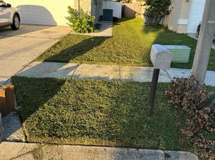 Pauline B.'s Lawn Service service result