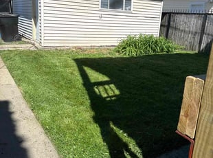John H.'s Yard Cutting service result
