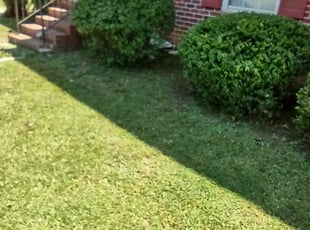 Bush Trimming by Andrew Hudson for Petruska B. in Atlanta, GA