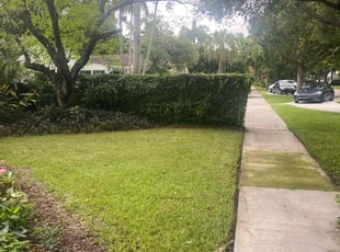 Ossie C.'s Lawn Mowing service result