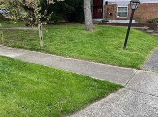 Toni M.'s Lawn Service service result