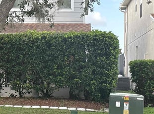 Bush Trimming by Brian Meza for Kyle R. in Orlando, FL