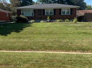 Tatiana C.'s Yard Cutting service result