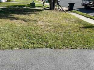 Daniel V.'s Lawn Care service result