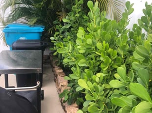 Leaf Removal by Joseph Dinsmore for Mike F. in Boynton Beach, FL