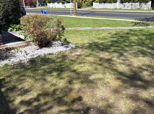 Leaf Removal by Nicholas Harvey for Umair K. in North Babylon, NY