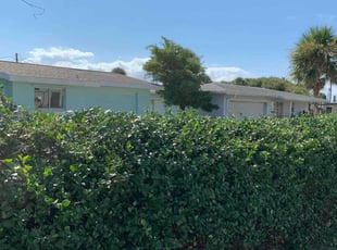 Bush Trimming by Tres Eugene for Kristi B. in Port Orange, FL