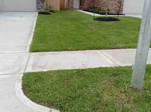 Maxine B.'s Lawn Mowing service result
