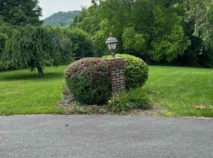 Bush Trimming by Landon Robbins for Ana H. in Abingdon, VA
