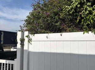Bush Trimming by Fernando Gomez Rodriguez for Richard K. in Torrance, CA