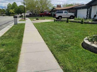 Traci C.'s Lawn Maintenance service result