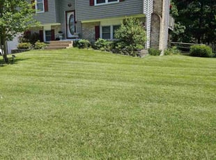 Tracy C.'s Lawn Mowing service result