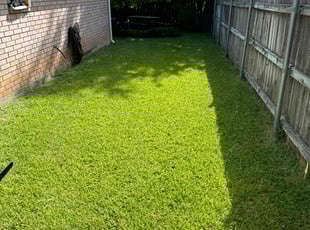 Allegra F.'s Lawn Maintenance service result