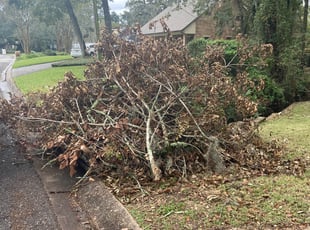 Cleanups by Jeconiah Conway for Sera H. in Lafayette, LA