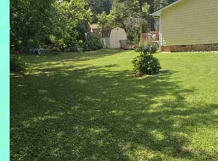 Lory M.'s Lawn Care service result