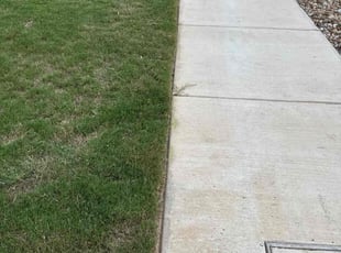 Chris C.'s Grass Cutting service result