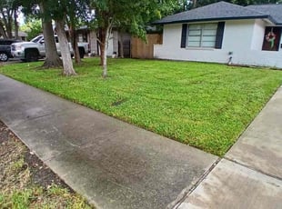Calvin A.'s Lawn Mowing Service service result