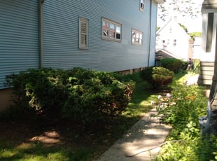 Bush Trimming by Charles Cowan for David S. in Milwaukee, WI