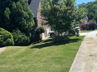 Patricia B.'s Lawn Mowing service result