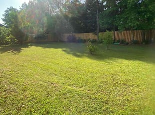 Janet H.'s Yard Cutting service result