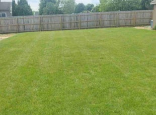 Jeff R.'s Lawn Mowing service result