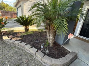 Bush Trimming by Maria Almendra for Brett T. in Oakley, CA