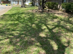 Frank S.'s Lawn Service service result