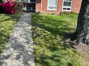 Brandon B.'s Lawn Service service result