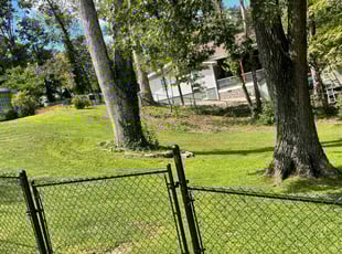 Deanna N.'s Lawn Mowing service result