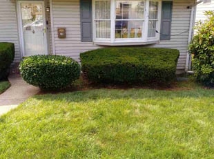 Bush Trimming by Joseph Kazlau for Etie A. in Clifton, NJ