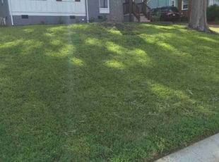 Gwendolyn J.'s Lawn Service service result