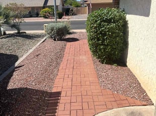 Bush Trimming by Jonathan Bell for Robert S. in Mesa, AZ