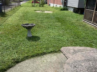 Chris G.'s Lawn Service service result