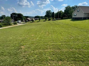 Joe S.'s Lawn Mowing service result