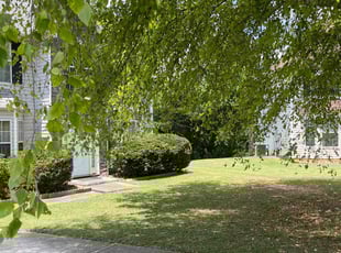 Rodney W.'s Lawn Mowing service result