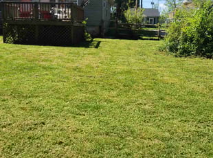 John L.'s Lawn Mowing Service service result