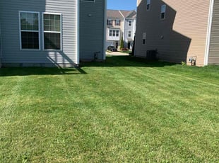 Nandie W.'s Lawn Mowing service result