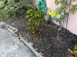Weeding by Christopher Oropeza for Jen C. in Winter Park, FL