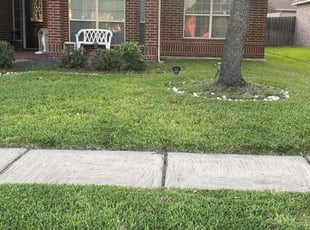 James G.'s Lawn Mowing Service service result