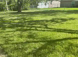 Darleen L.'s Lawn Service service result