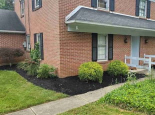 Bush Trimming by Philip Shoop for David F. in York, PA