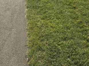 Misty Z.'s Lawn Mowing Service service result