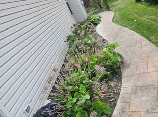 Weeding by Richard Robinson for Frank B. in Streetsboro, OH