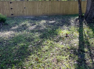 Landscaping by Stuart Moyes for Taylor O. in Summerville, SC