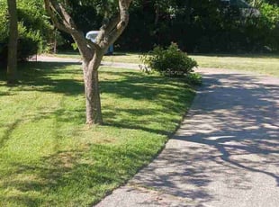 Pinal P.'s Lawn Mowing service result